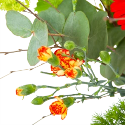 Boeket Speciale Verrassing Klein 8 Boeket Speciale Verrassing Klein -Tuinplantenwinkel boeket speciale verrassing boeketten 2 1