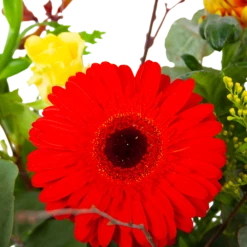 Boeket Speciale Verrassing Klein 9 Boeket Speciale Verrassing Klein -Tuinplantenwinkel boeket speciale verrassing boeketten 3 1