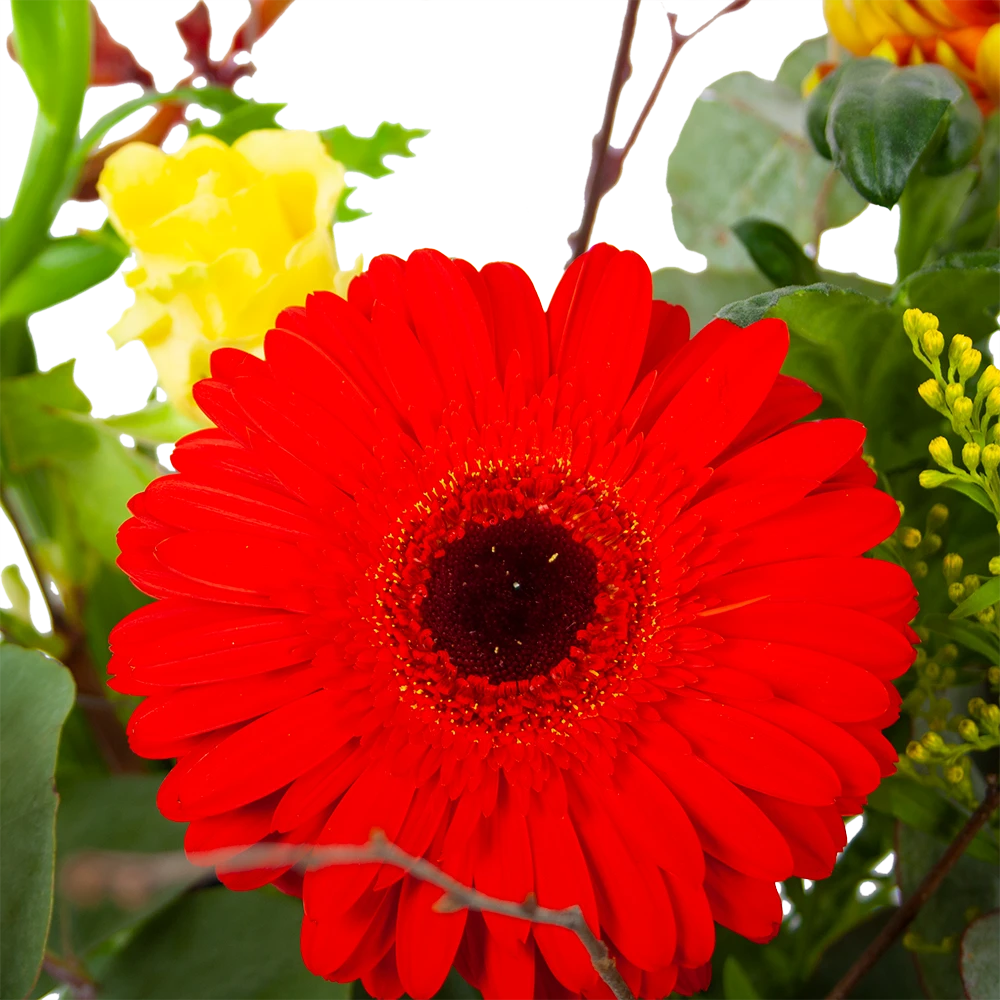 Boeket Speciale Verrassing Klein 5 Boeket Speciale Verrassing Klein - Afbeelding 3