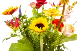 Boeket Vlinder Klein -Tuinplantenwinkel boeket vlinder boeketten 3 3