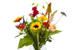 Boeket Vlinder Klein -Tuinplantenwinkel boeket vlinder boeketten 4 3