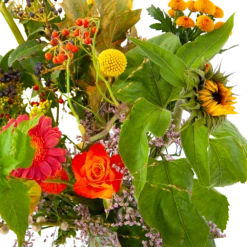 Boeket Vrolijk Klein -Tuinplantenwinkel boeket vrolijk klein boeketten 4