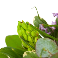 Boeket Vrolijk Seizoen Groot -Tuinplantenwinkel boeket vrolijk seizoen boeketten 3