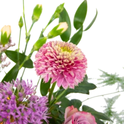 Boeket Vrolijke Verrassing Middel -Tuinplantenwinkel boeket vrolijke verrassing boeketten 3 1