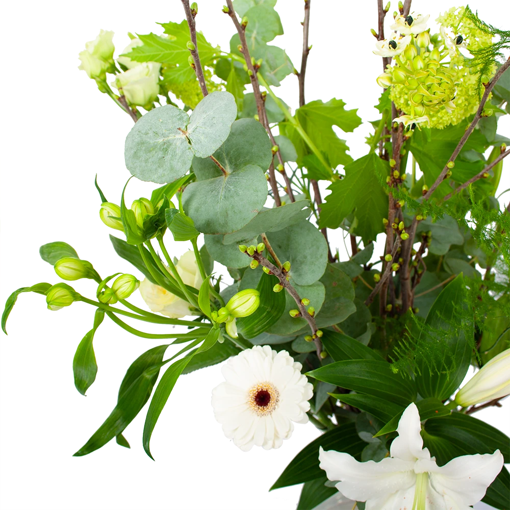 Boeket Witte Winter Groot 4 Boeket Witte Winter Groot - Afbeelding 2