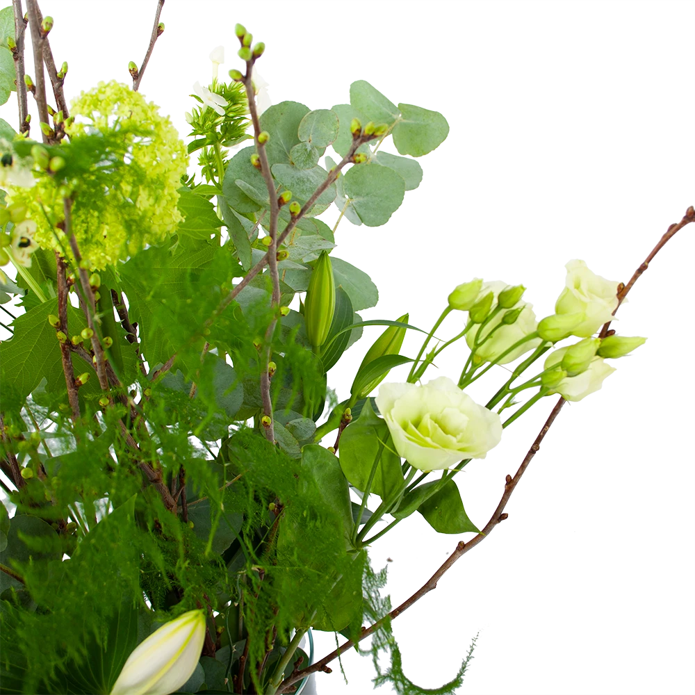 Boeket Witte Winter Groot 5 Boeket Witte Winter Groot - Afbeelding 3