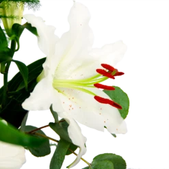 Boeket Witte Winter Groot 11 Boeket Witte Winter Groot -Tuinplantenwinkel boeket witte winter boeketten 4 1