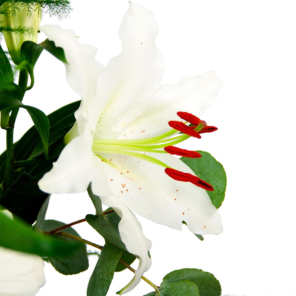 Boeket Witte Winter Groot 6 Boeket Witte Winter Groot - Afbeelding 4