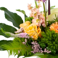 Boeket Zachte Winter Groot 8 Boeket Zachte Winter Groot -Tuinplantenwinkel boeket zachte winter boeketten 2 2