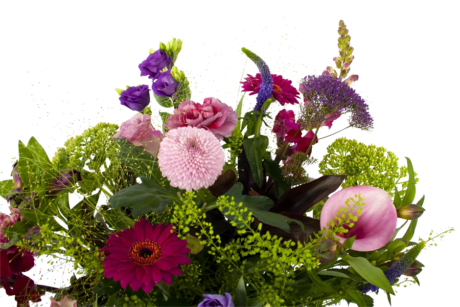 Boeket Zomerbries Groot 5 Boeket Zomerbries Groot - Afbeelding 3