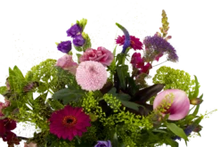 Boeket Zomerbries Middel -Tuinplantenwinkel boeket zomerbries boeketten 3 5