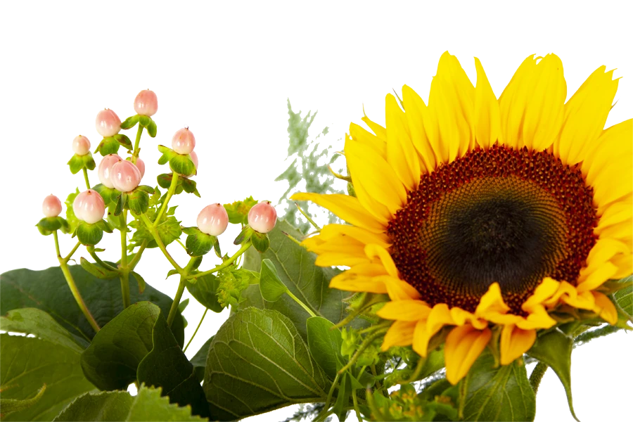 Boeket Zonnestraal Groot 6 Boeket Zonnestraal Groot - Afbeelding 4