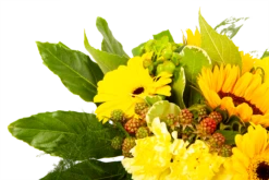 Boeket Zonnetje Groot -Tuinplantenwinkel boeket zonnetje boeketten 4 1 2