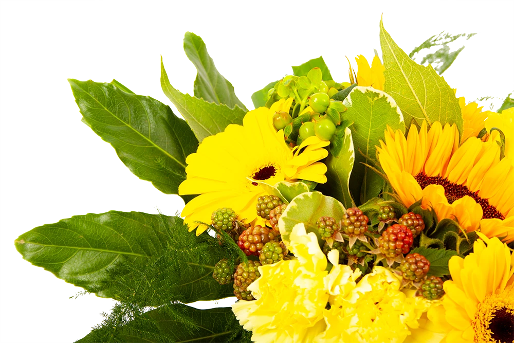 Boeket Zonnetje Middel 6 Boeket Zonnetje Middel - Afbeelding 4