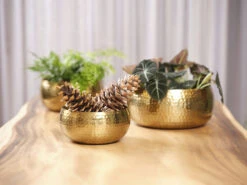 Plantenschaal Kody - D28 X H13cm - Goud 6 Plantenschaal Kody - D28 X H13cm - Goud -Tuinplantenwinkel bowl kody gold d28 h13 schaal 6 11