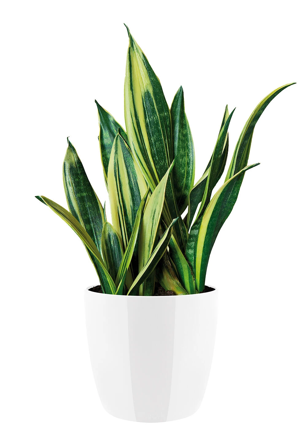 Bloempot Elho Brussels Diamond Rond 22cm - Wit 5 Bloempot Elho Brussels Diamond Rond 22cm - Wit - Afbeelding 3