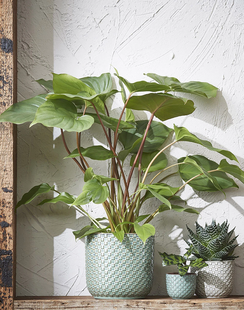 Bloempot Daan - D19 X H17.5cm - Groen 4 Bloempot Daan - D19 X H17.5cm - Groen - Afbeelding 2