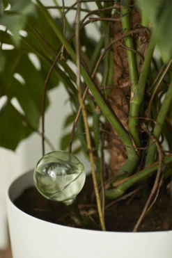 Aqua Care Elho - Transparant -Tuinplantenwinkel elho aqua care transparant water geven 7 2