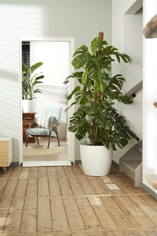 Bloempot Elho Brussels Rond 47cm - Met Wielen - Wit 4 Bloempot Elho Brussels Rond 47cm - Met Wielen - Wit - Afbeelding 2