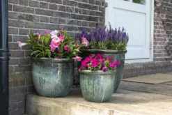 Bloempot Glazed Hp001 - D39 X H30cm - Groen -Tuinplantenwinkel glazed hp001 moss green d39h30 bloempot groen 7 6