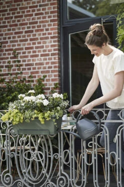 Balkonbak Elho Green Basics XL Allin1 55cm - Bladgroen -Tuinplantenwinkel green basics balkonbak xl allin1 55cm plantenbak bladgroen 7 14