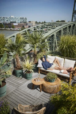 Elho Bloempot Greenville Rond 30cm - Bladgroen -Tuinplantenwinkel greenville rond 30cm bloempot bladgroen 6 13