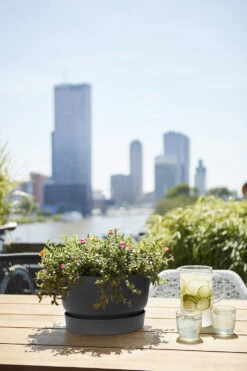 Plantenschaal Elho Greenville 33cm - Living Black -Tuinplantenwinkel greenville schaal 33cm bloempot living black 6 13