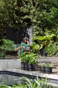 Bloembak Elho Greenville Terrace 80cm - Met Wielen - Living Black 13 Bloembak Elho Greenville Terrace 80cm - Met Wielen - Living Black -Tuinplantenwinkel greenville terrace trough 80cm wheels plantenbak living black 6 4