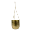 Hangpot Kody - D16 X H18cm - Goud -Tuinplantenwinkel hanger kody gold d16 h18 hangpot 1 4