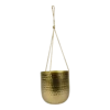 Hangpot Kody - D17 X H20cm - Goud -Tuinplantenwinkel hanger kody gold d17 h20 hangpot 1 4