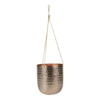 Hangpot Kody - D17 X H20cm - Rosu00e9 Goud -Tuinplantenwinkel hangpot kody d17 h20 rose goud hangpot 1 10