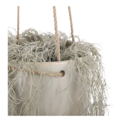 Hangpot Resa - D18,5 X H17cm - Lichtgrijs -Tuinplantenwinkel hangpot resa d18 5 x h17cm lichtgrijs hangpot 3 1