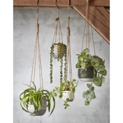 Hangpot Resa - D18,5 X H17cm - Lichtgrijs -Tuinplantenwinkel hangpot resa d18 5 x h17cm lichtgrijs hangpot 5 1