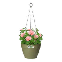 Elho Hangschaal Vibia Campana 26cm - Saliegroen -Tuinplantenwinkel hangschaal vibia campana 26cm saliegroen hangpot saliegroen 3 1