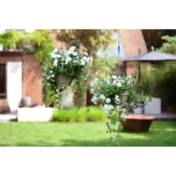 Elho Hangschaal Vibia Campana 26cm - Saliegroen -Tuinplantenwinkel hangschaal vibia campana 26cm saliegroen hangpot saliegroen 4 1