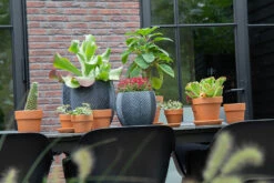 Bloempot Iowa Bullet - D32 X H28.5cm - Donkergrijs -Tuinplantenwinkel iowa bullet graphite d32h285 bloempot 7 9