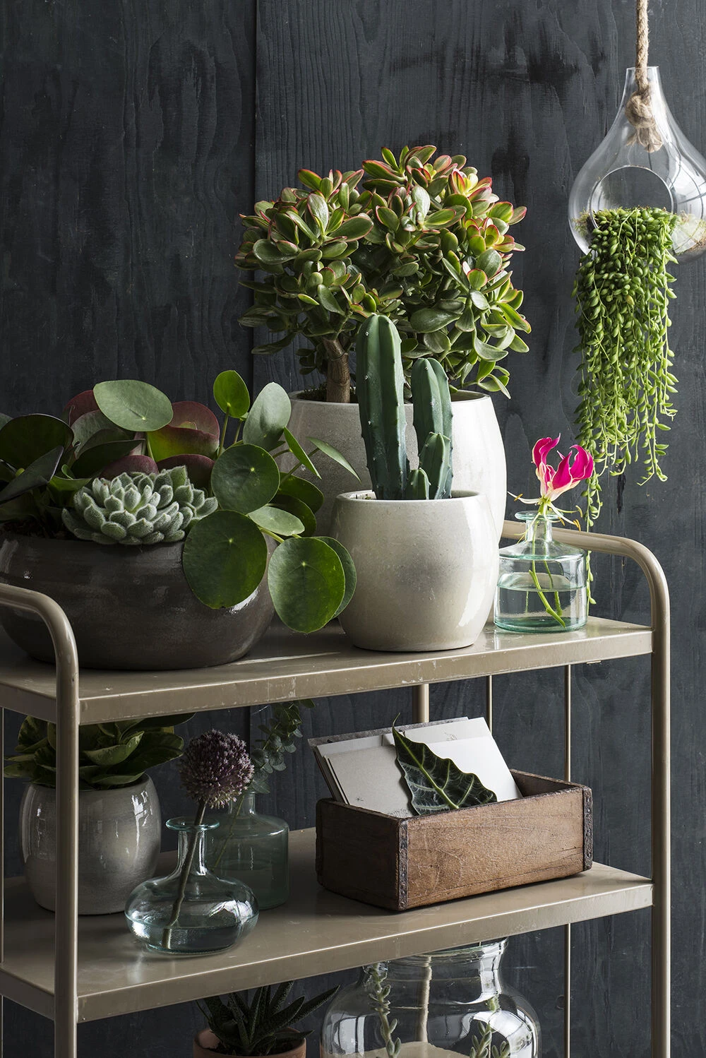 Bloempot Lester - D38 X H35cm - Lichtgrijs 4 Bloempot Lester - D38 X H35cm - Lichtgrijs - Afbeelding 2