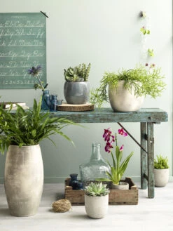 Bloempot Lester Hoog - D39 X H70cm - Donkerblauw 5 Bloempot Lester Hoog - D39 X H70cm - Donkerblauw -Tuinplantenwinkel lester vaas rond d blauw h70xd39cm bloempot 6 12