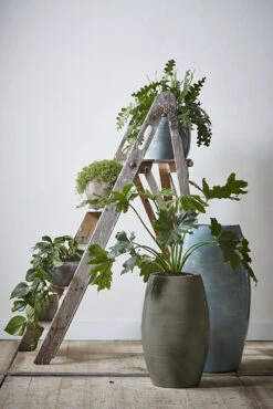 Bloempot Lester Hoog - D30 X H50cm - Groen 5 Bloempot Lester Hoog - D30 X H50cm - Groen -Tuinplantenwinkel lester vaas rond groen h50xd30cm bloempot 6 12