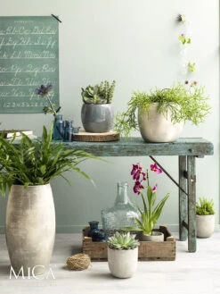 Bloempot Lester Hoog - D30 X H50cm - Lichtgrijs -Tuinplantenwinkel lester vaas rond lgrijs h50xd30cm bloempot 6 12