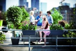 Balkonbak Elho Loft Urban Allin1 50cm - Antraciet -Tuinplantenwinkel loft urban balkonbak allin1 50 plantenbak antraciet 7 13