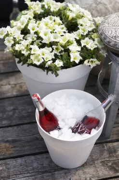 Bloempot Elho Loft Urban Rond 70cm - Antraciet -Tuinplantenwinkel loft urban rond 70 bloempot antraciet 6 15