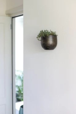 Muur Bloempot Tokio - D20 X H18cm - Goud 5 Muur Bloempot Tokio - D20 X H18cm - Goud -Tuinplantenwinkel muurpot tokio goud muurpot 2 1