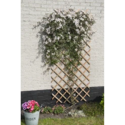 Nature - Houten Klimrek Naturel 100x200cm -Tuinplantenwinkel nature houten klimrek naturel 100x200cm 3 2