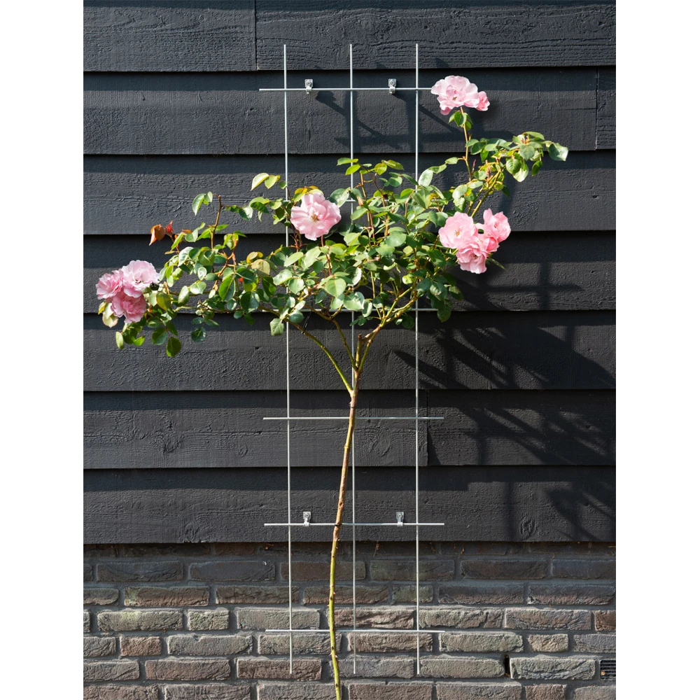 Nature - Metalen Klimrek Geplastificeerd Grijs H145x42,5cm 4 Nature - Metalen Klimrek Geplastificeerd Grijs H145x42,5cm - Afbeelding 2