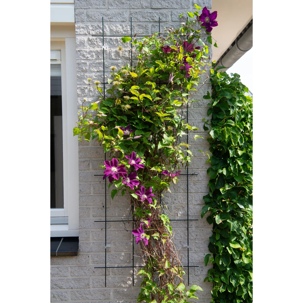 Nature - Metalen Klimrek Geplastificeerd Grijs H145x57cm 4 Nature - Metalen Klimrek Geplastificeerd Grijs H145x57cm - Afbeelding 2