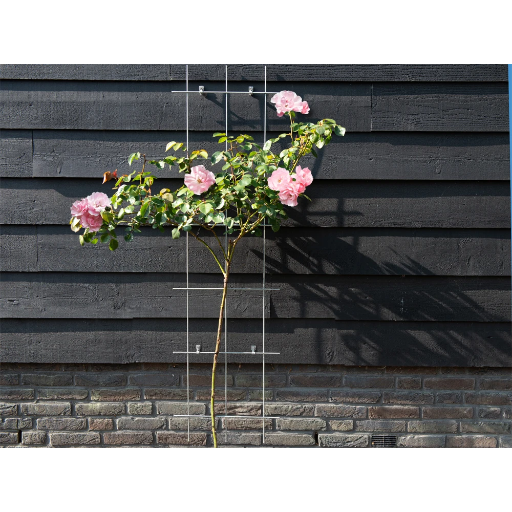 Nature - Metalen Klimrek Geplastificeerd Groen H145x42,5cm 5 Nature - Metalen Klimrek Geplastificeerd Groen H145x42,5cm - Afbeelding 3