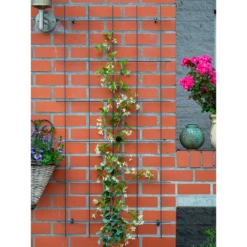 Tuinplantenwinkel -Tuinplantenwinkel nature metalen klimrek geplastificeerd groen h145x72 5cm 2 2