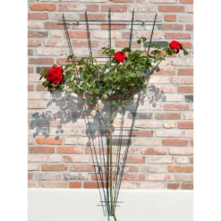 Nature - Metalen Klimrekv Geplastificeerd Groen H145x5/75cm 7 Nature - Metalen Klimrekv Geplastificeerd Groen H145x5/75cm -Tuinplantenwinkel nature metalen klimrekv geplastificeerd groen h145x5 75cm 2 2