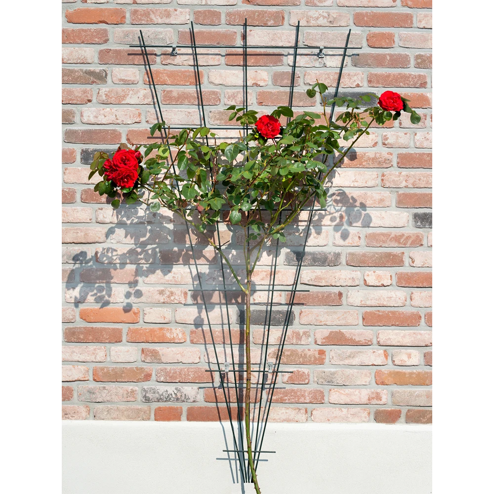 Nature - Metalen Klimrekv Geplastificeerd Groen H145x5/75cm 4 Nature - Metalen Klimrekv Geplastificeerd Groen H145x5/75cm - Afbeelding 2